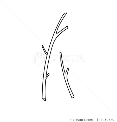 Two thin branches are shown in a white background 127039729