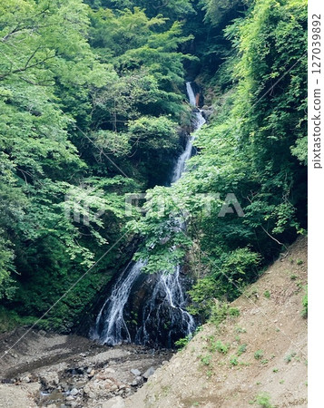 神奈川縣立相川公園的大澤瀑布，周圍綠樹成蔭 127039892