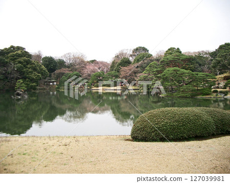 六義園吹上茶屋、蓬萊島、舟屋(東京都文京區) 六義園吹上茶屋、蓬萊島、舟屋(東京都文京區) 127039981