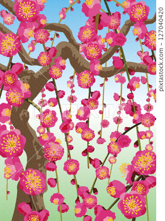 手繪風格垂枝梅花插畫 手繪風格垂枝梅花插畫 127040420