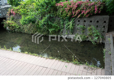 Nigaryo water rainy season scenery Nigaryo water rainy season scenery 127040805