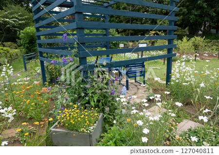 Nigaryo water rainy season scenery 127040811