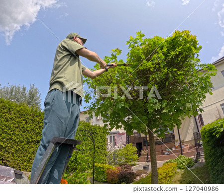 Man trims branches in maple tree backyard garden. Gardening, tools and lifestyle. Landscaping, green fencing. Man trims branches in maple tree backyard garden. Gardening, tools and lifestyle. Landscaping, green fencing. 127040986