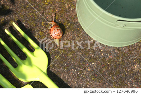 Snail crawls on watering can. Garden and Nature. Pests and tools. Snail crawls on watering can. Garden and Nature. Pests and tools. 127040990