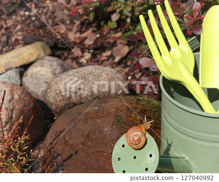 Snail crawls on watering can. Garden and Nature. Pests and tools.  127040992