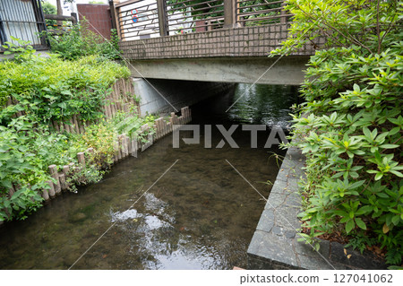 Nigaryo water rainy season scenery Nigaryo water rainy season scenery 127041062