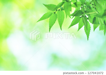 新綠色的季節 新綠色的季節 127041072