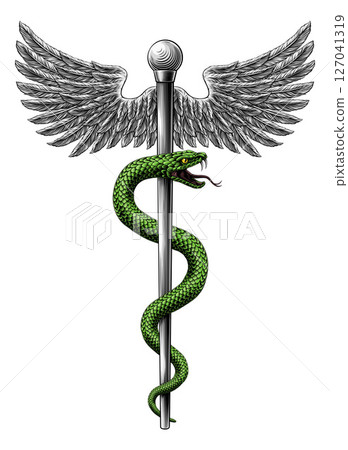 Rod of Asclepius Caduceus Medical Doctor Symbol Rod of Asclepius Caduceus Medical Doctor Symbol 127041319