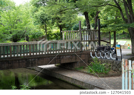 Nigaryo water rainy season scenery Nigaryo water rainy season scenery 127041503