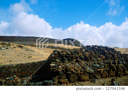 夏威夷大島普吾可霍拉神殿國家歷史公園 127041596
