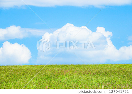 A refreshing summer scene in Hokkaido, with a breeze A refreshing summer scene in Hokkaido, with a breeze 127041731