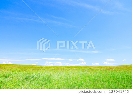 A refreshing summer scene in Hokkaido, with a breeze 127041745