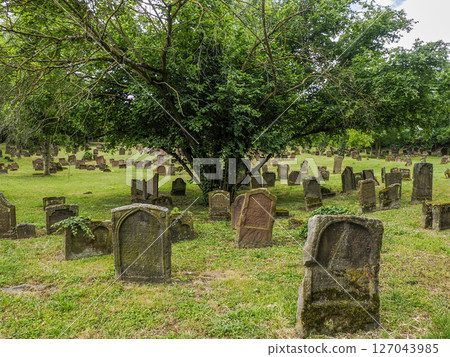 Worm jewish historical graveyard, Germany 127043985