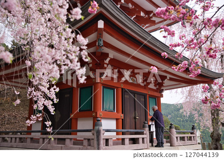 鞍馬寺：垂枝櫻花和重瓣櫻花盛開的多寶塔和祈禱的人們 1 127044139