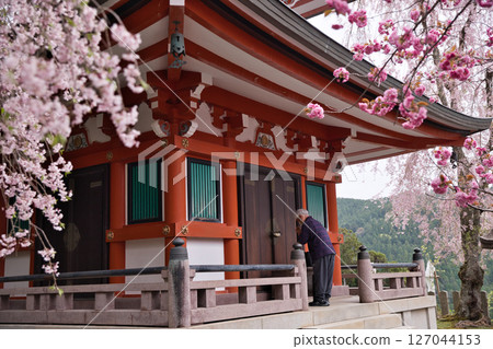鞍馬寺:多寶塔與垂枝櫻花和重瓣櫻花以及祈禱的人們 6 鞍馬寺:多寶塔與垂枝櫻花和重瓣櫻花以及祈禱的人們 6 127044153