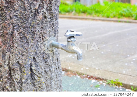 Park water supply 127044247