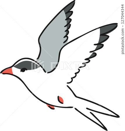 燕鷗的手繪插圖 燕鷗的手繪插圖 127044344