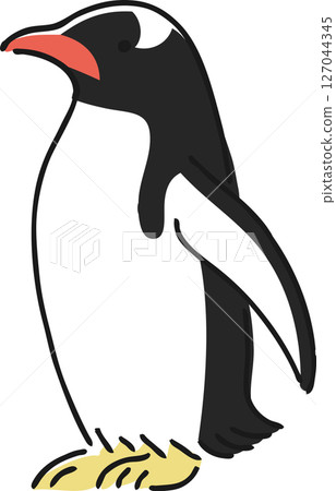 Hand drawn gentoo penguin illustration Hand drawn gentoo penguin illustration 127044345