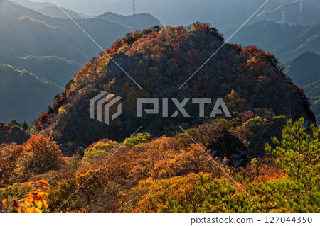 西上州立岩山的清晨紅葉美景 127044350