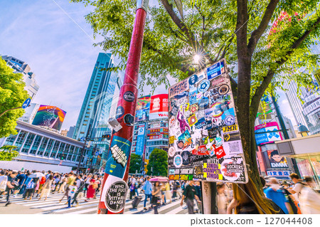 日本東京城市景觀入境旅遊持續進行…澀谷擠滿了外國遊客，陽光透過樹梢…貼紙等等 127044408