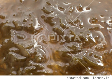 Mozuku vinegar Mozuku vinegar 127044716