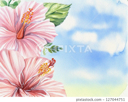 Watercolor painted hibiscus flower 127044751