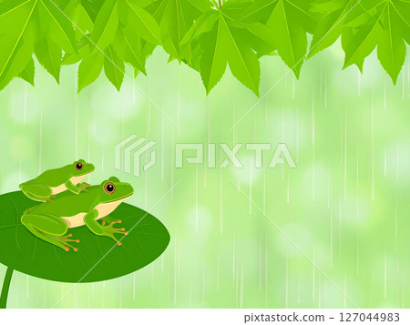 雨，雨季，樹蛙，青蛙 127044983