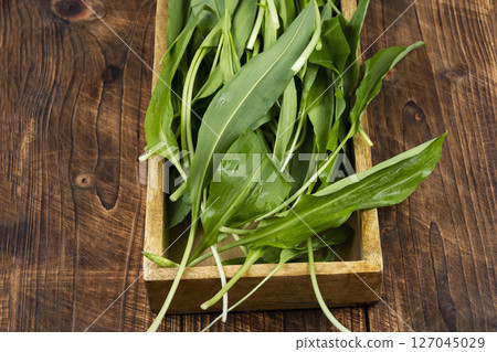 Fresh wild ramps or leeks. Fresh wild ramps or leeks. 127045029