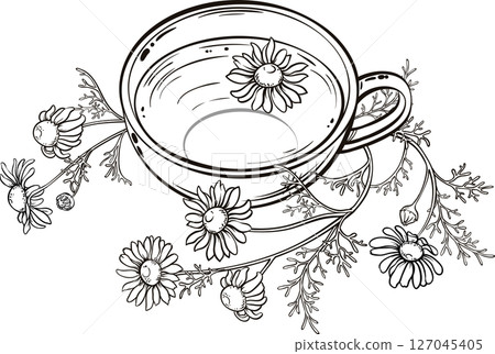 Cup of Chamomile Tea Outline Illustration. Cup of Chamomile Tea Outline Illustration. 127045405