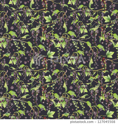Currant gooseberry with green leaves, long flower clusters, garden berry hanging on branches. Seamless pattern isolated on dark, hand drawn in watercolor. Craft drinks, background wallpaper, packaging Currant gooseberry with green leaves, long flower clusters, garden berry hanging on branches. Seamless pattern isolated on dark, hand drawn in watercolor. Craft drinks, background wallpaper, packaging 127045508