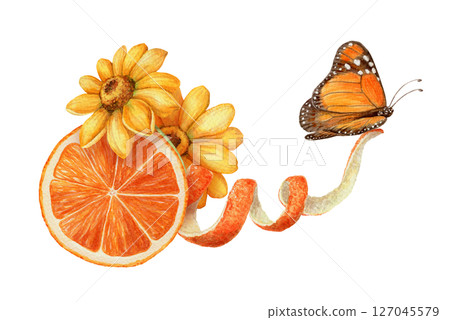 Monarch butterfly with orange and yellow flower arrangement. Hand drawn watercolor food illustration. Citrus image with realistic texture. Perfect for summer card template and cute sticker design. 127045579