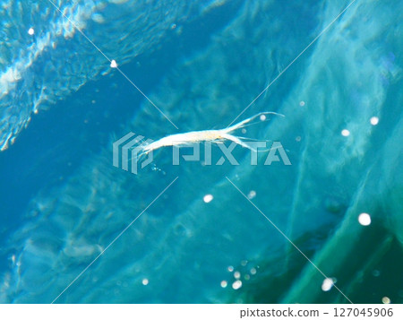 貝加爾湖藍色的冰 127045906