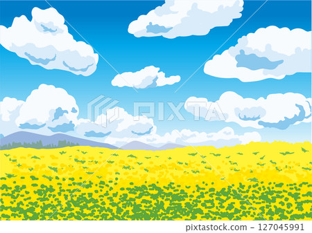 夏日天空下的花田景觀 夏日天空下的花田景觀 127045991