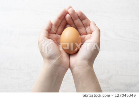 Female hand holding an egg 127046349