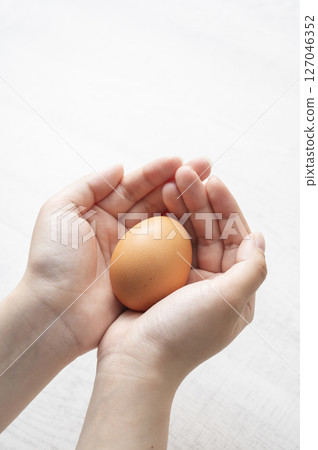 Female hand holding an egg 127046352