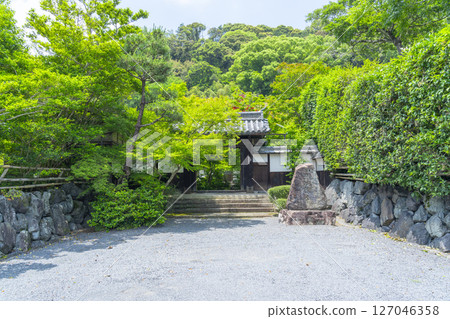 善寶寺：被秋葉包圍的山門 127046358