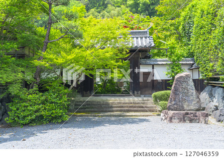 善寶寺：被秋葉包圍的山門 127046359