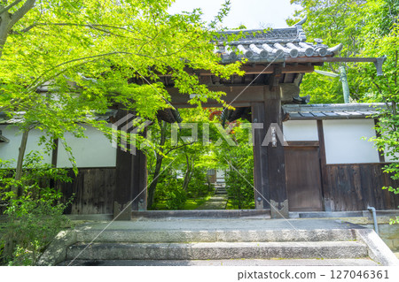 善寶寺：被秋葉包圍的山門 127046361