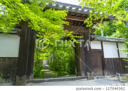 善寶寺：被秋葉包圍的山門 127046362