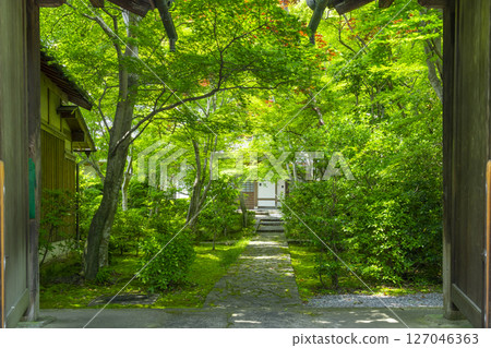 善寶寺 - 從正門望去的綠葉隧道 善寶寺 - 從正門望去的綠葉隧道 127046363