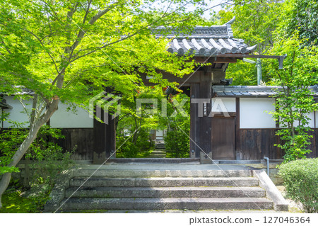 善寶寺:被秋葉包圍的山門 善寶寺:被秋葉包圍的山門 127046364