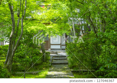 Zenhoji Temple - A tunnel of green leaves seen from the front gate Zenhoji Temple - A tunnel of green leaves seen from the front gate 127046367