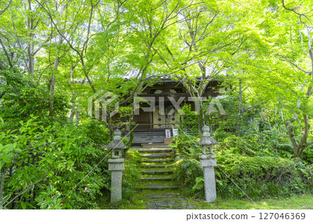 Zenhoji Temple - The main hall surrounded by green autumn leaves Zenhoji Temple - The main hall surrounded by green autumn leaves 127046369