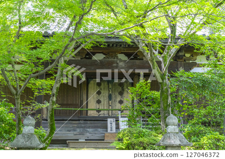 善寶寺 - 被秋葉包圍的正殿 127046372