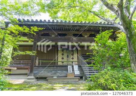 善寶寺 - 被秋葉包圍的正殿 善寶寺 - 被秋葉包圍的正殿 127046373