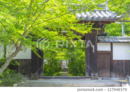 善寶寺：被秋葉包圍的山門 127046379