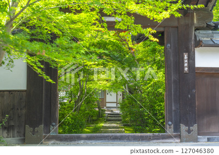 善寶寺:被秋葉包圍的山門 善寶寺:被秋葉包圍的山門 127046380