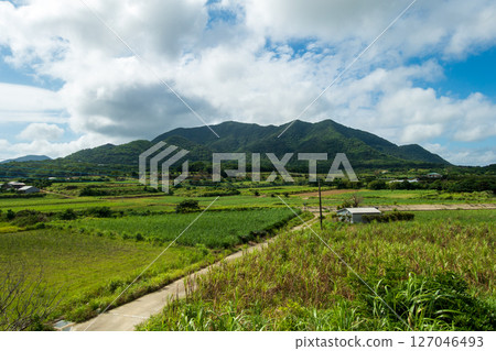 日本鹿兒島縣德之島的美麗風景 127046493