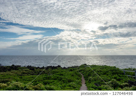 Beautiful scenery of Tokunoshima Island in Kagoshima Prefecture, Japan 127046498