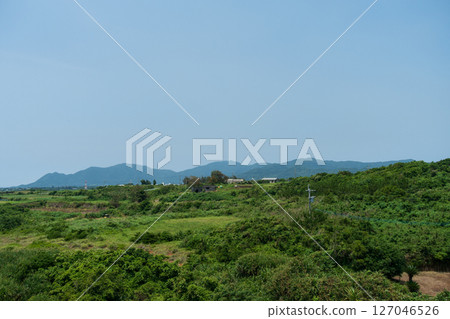 Beautiful scenery of Tokunoshima Island in Kagoshima Prefecture, Japan Beautiful scenery of Tokunoshima Island in Kagoshima Prefecture, Japan 127046526